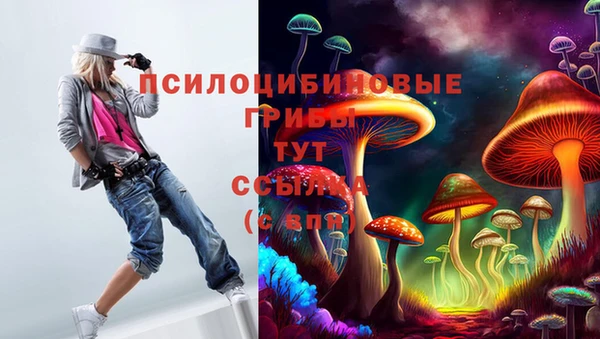 винт Арсеньев